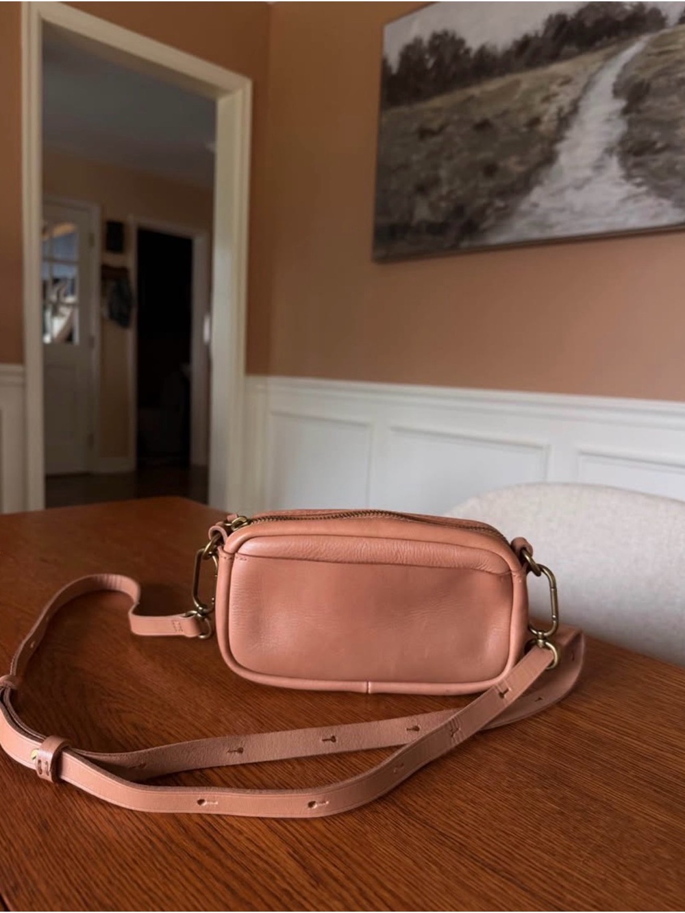 Madewell Leather Carabiner Mini Crossbody Bag